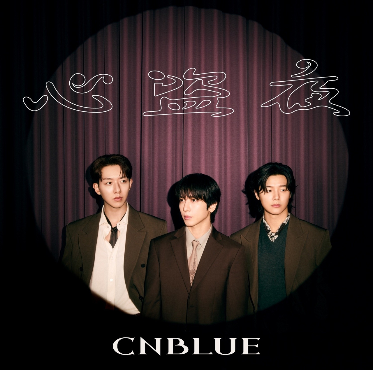 その他 CNBLUE Official Fanmeeting Collection CNBLUE: 15 years of success for a tour – KSTATION TV