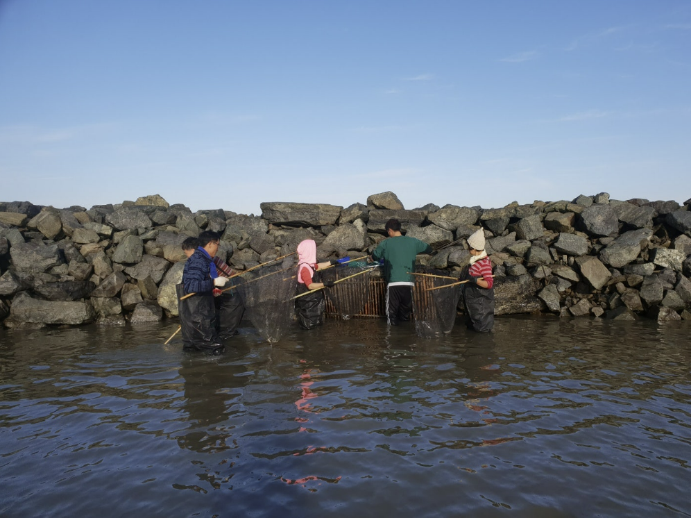 "Doksal," traditional tidal-flat fishing practiced in Taean (South Chungcheong Province)