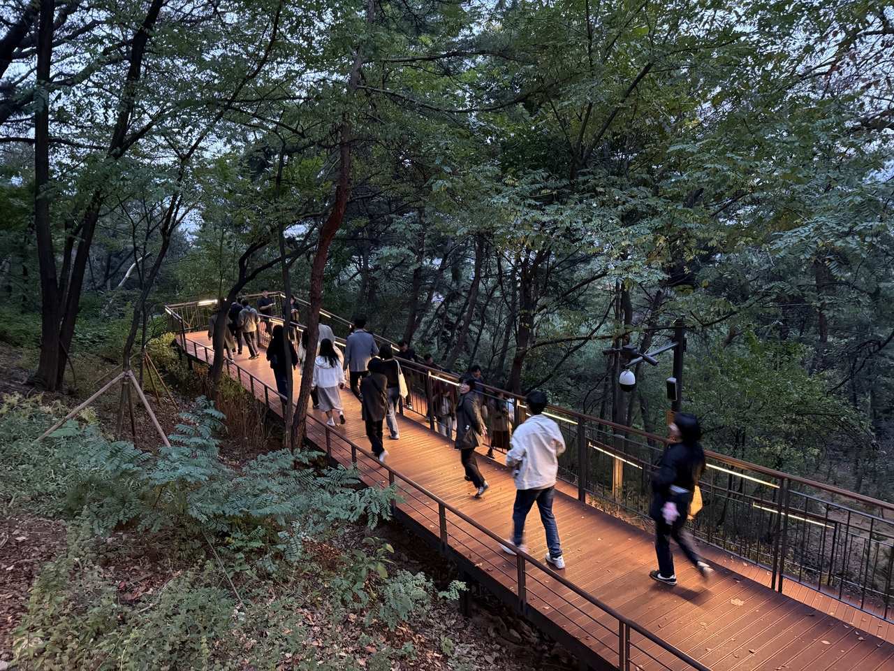 Namsan Haneulsup-gil in Yongsan-gu, central Seoul (Seoul Metropolitan Government)