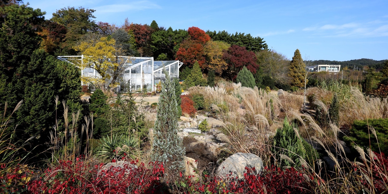 Cheollipo Arboretum (Cheollipo Arboretum)