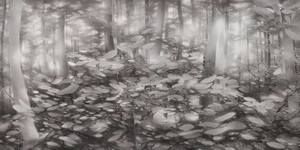 [지상갤러리] 권소영 개인전《서로를 지나며 : Passing Through One Another》개최, 히든엠갤러리