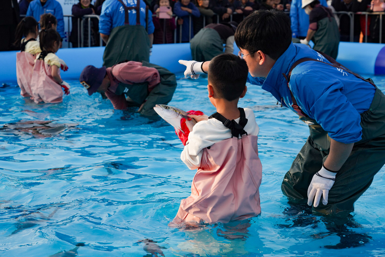 변항 수산물축제에서 맨손활어잡기 체험에 참여한 관광객들이 즐거워 하고 있다.[울진군 제공]