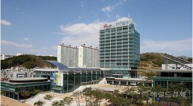 포항시청 전경.[포항시 제공]
