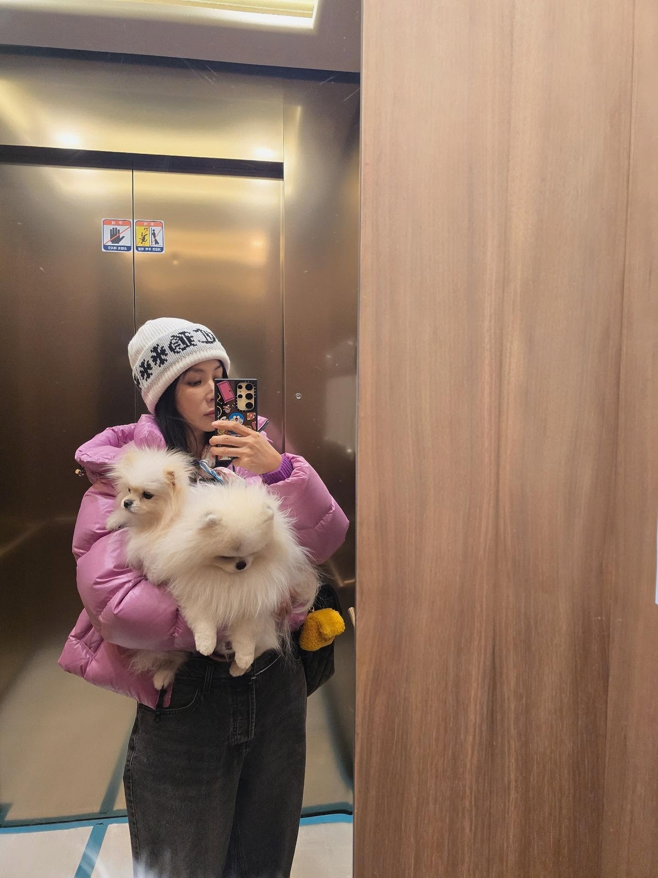 고소영