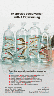 [Graphic News] 19 species could vanish with 4.2 C warming