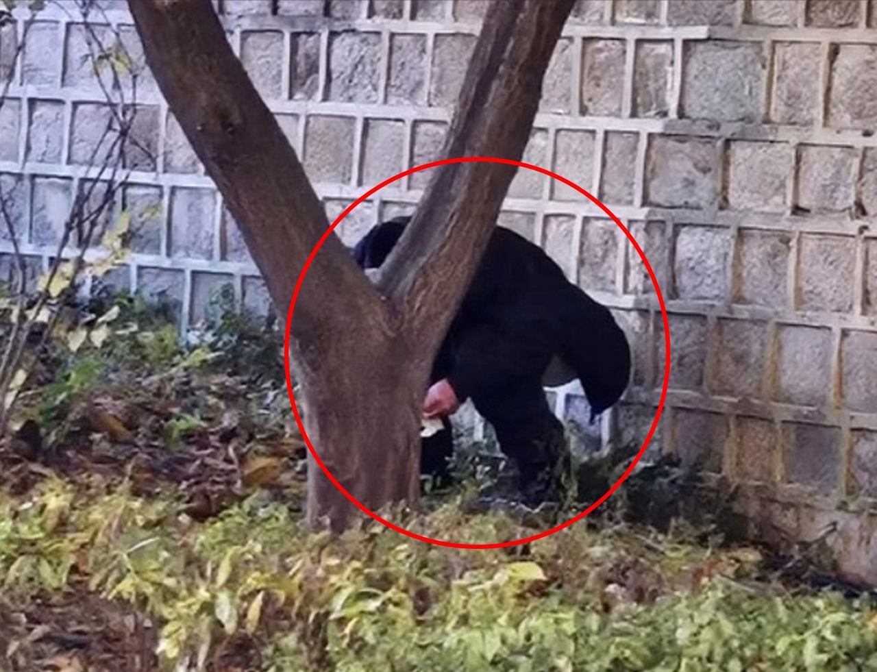 서경덕 “中 관광객 민폐 날로 늘어, 가이드 교육시켜야” - 헤럴드경제