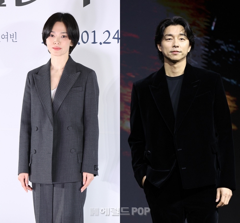 송혜교, 공유/사진=헤럴드POP DB