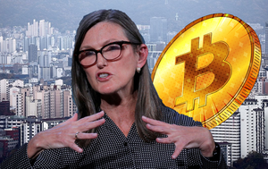 돈나무 언니, 3분기 '코인베이스' 버리고 美 AI 테크·스테이블코인주... - 뉴스 썸네일 이미지