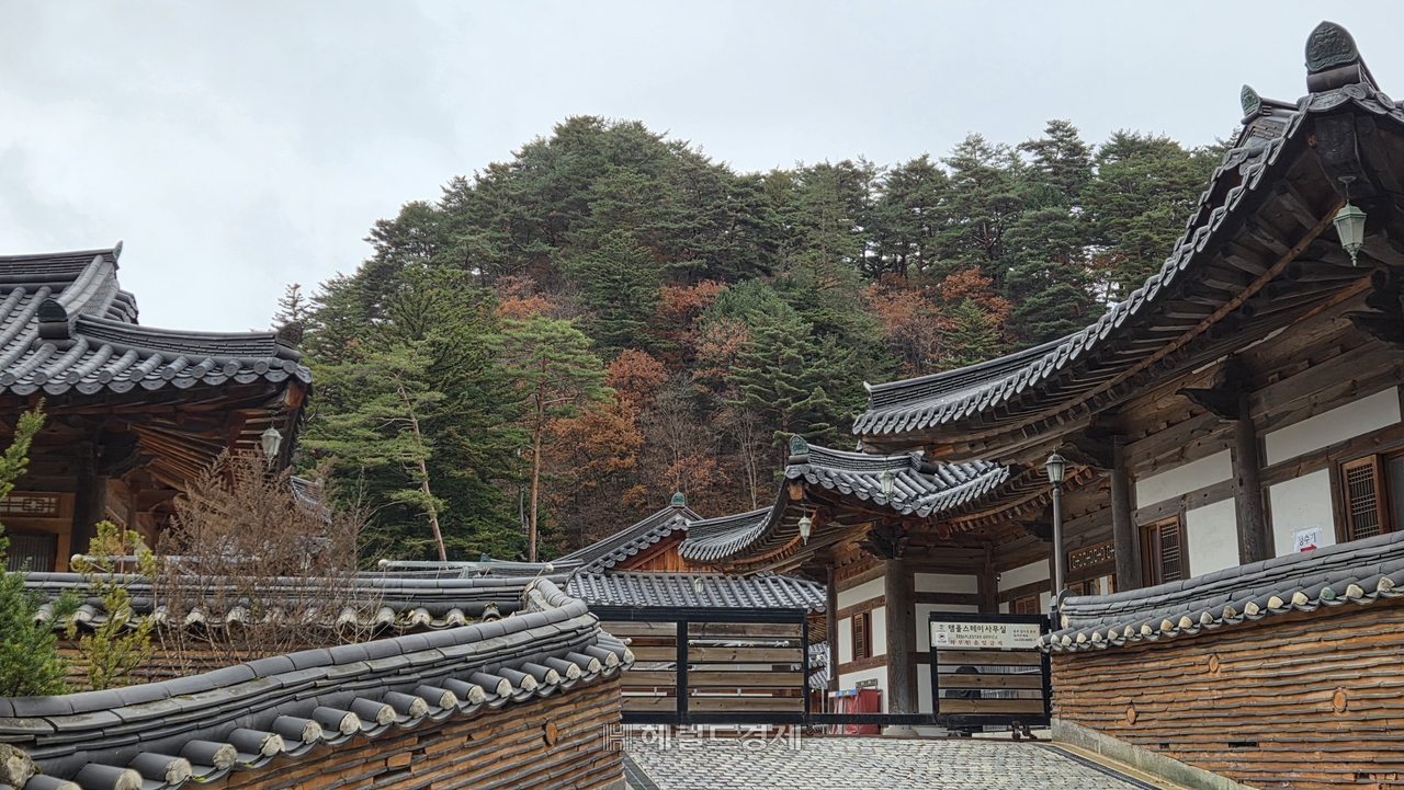 월정사 템플스테이