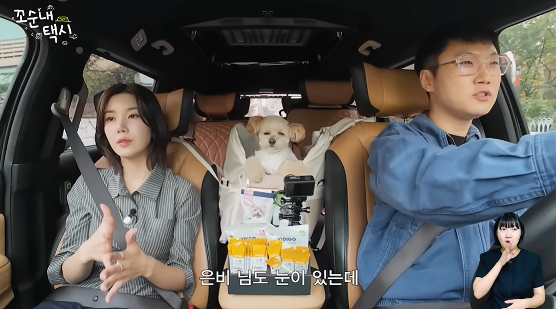 [유튜브 ‘꼬순내택시’ 캡처]