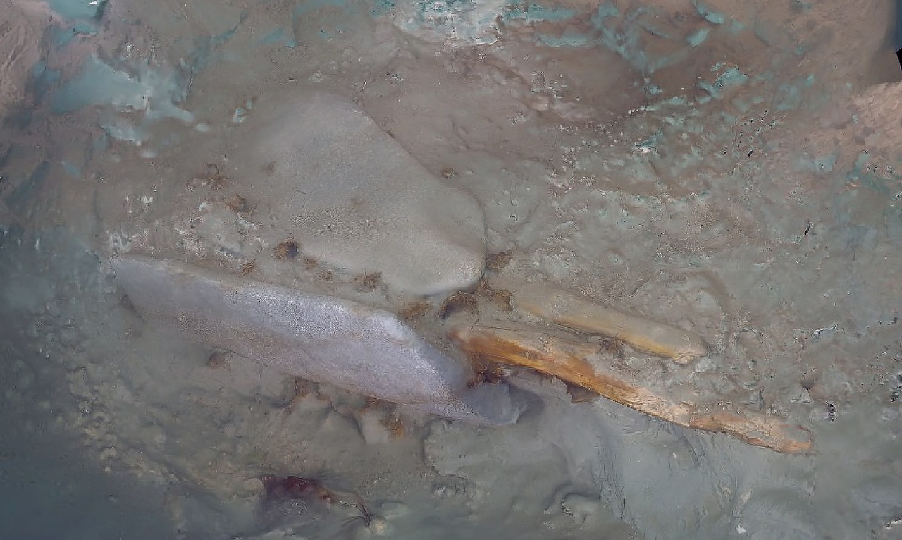 A wooden anchor and anchor stone were uncovered near the bundles of celadon during the latest underwater excavation off Mado Island in Taean, offering clues to the structure and function of the newly discovered shipwreck. (National Research Institute of Maritime Heritage)