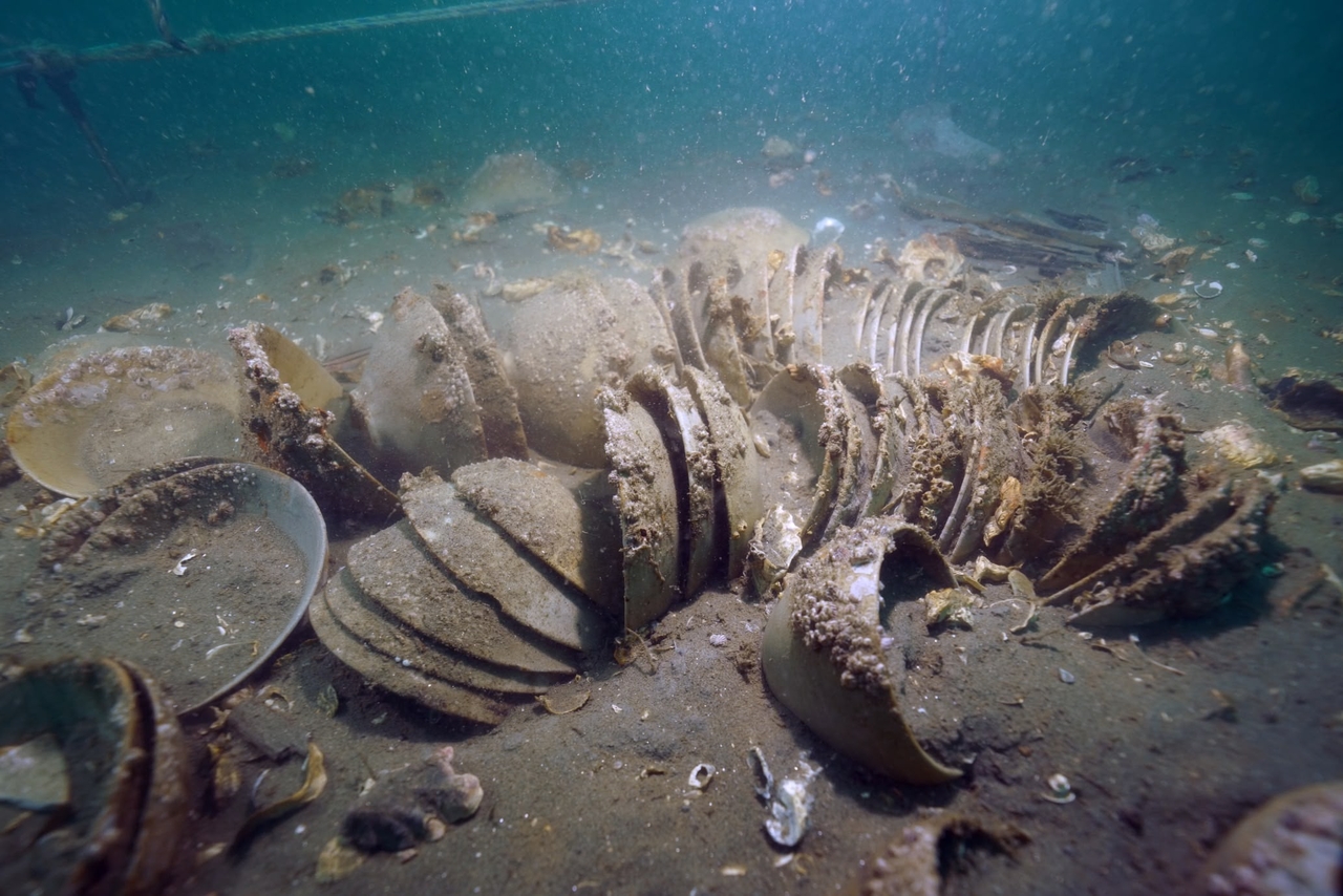 Ceramic bowls are found stacked in place beneath the seafloor during a maritime survey in the Mado waters off Korea’s west coast, where a cargo vessel is believed to have sunk centuries ago. (National Research Institute of Maritime Heritage)