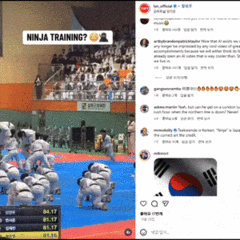 Taekwondo as ninja training? Canadian sports channel faces backlash from Koreans