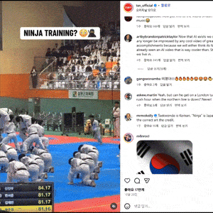 Taekwondo as ninja training? Canadian sports channel faces backlash from Koreans