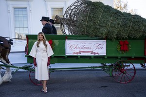Melania Trump welcomes White House Christmas tree