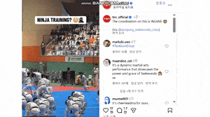 Taekwondo as ninja training? Canadian sports channel faces backlash from Koreans