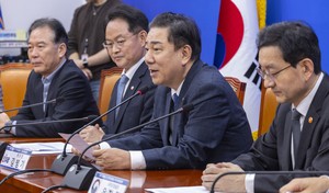 Ruling party submits special bill on investment in US under tariff deal