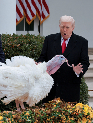 Trump adds Thanksgiving turkeys to his pardon list