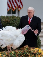 Trump adds Thanksgiving turkeys to his pardon list