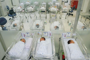 No. of single-person households tops 8m in 2024: data