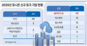 특구난립에 날개 못 펴는 유니콘...'한국판 실리콘밸리' 시급 - 뉴스 썸네일 이미지