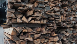 버려지는 산불피해목, 건축·가구자재로 부활 - 뉴스 썸네일 이미지