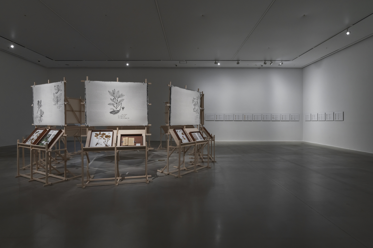 Installation view of "Unfinished Flora—Soyo Lee" at Buk-Seoul Museum of Art (Courtesy of the museum)
