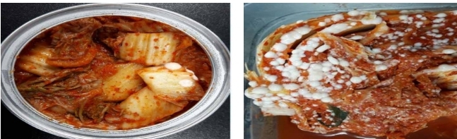 김치 골마지 [세계김치연구소 제공]