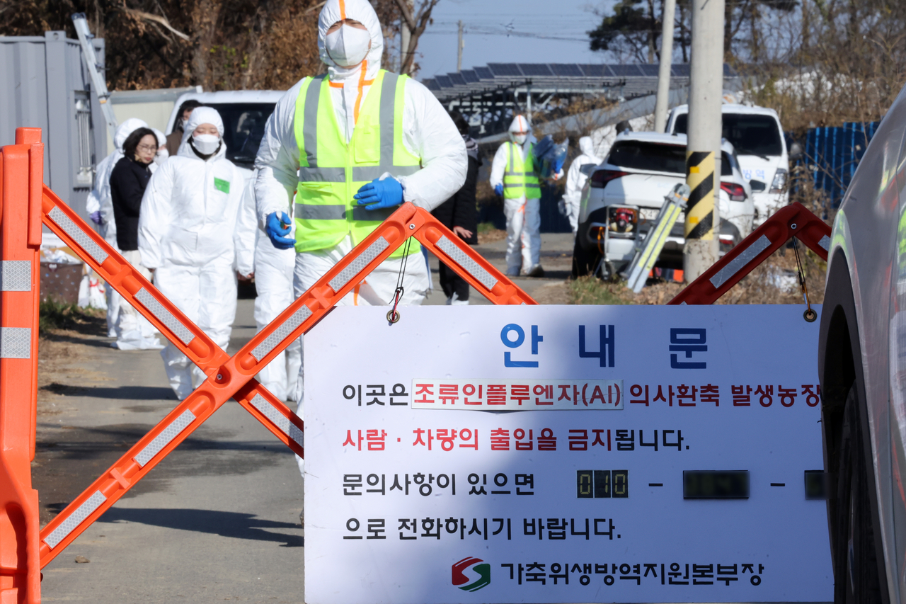 Quarantine officials restrict access to a duck farm in the southwestern county of Yeongam on Tuesday after an outbreak of avian influenza at the farm. (Yonhap)