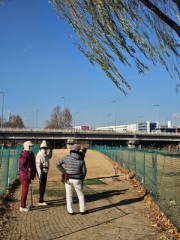 Why park golf is a perfect fit for aging South Korea