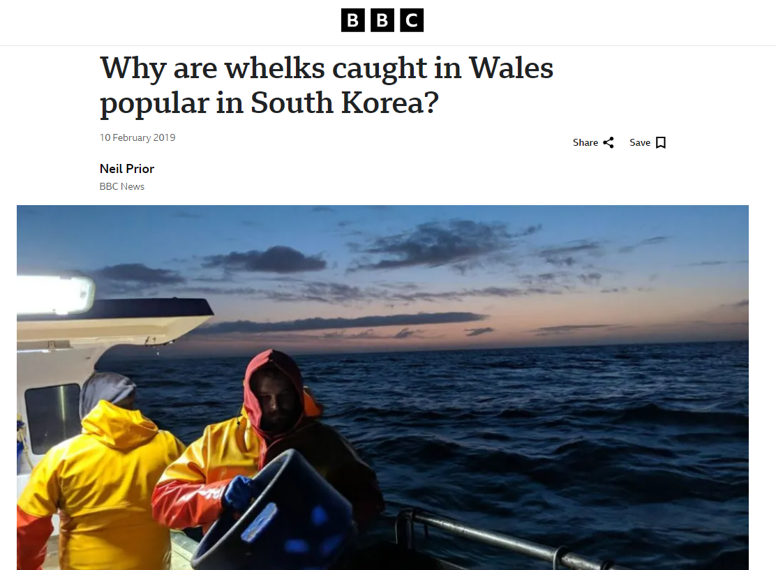 브리스톨 해협의 한 어부는 현지 매체 BBC 웨일스를 통해 “20년 동안 골뱅이를 잡는 일로 생계를 유지해 왔다”라며 “오직 한국인을 위해 일하고 있어서 잡는 골뱅이는 모두 한국행”이라고 말했다. [BBC 홈페이지]