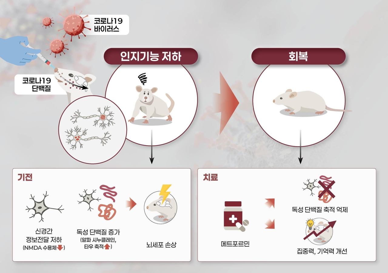 Viện Y tế Hàn Quốc phát hiện yếu tố mới liên quan hội chứng “sương mù não” sau COVID-19