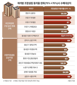 “재개발 조합설립 동의율 70%면 2만채 공급”