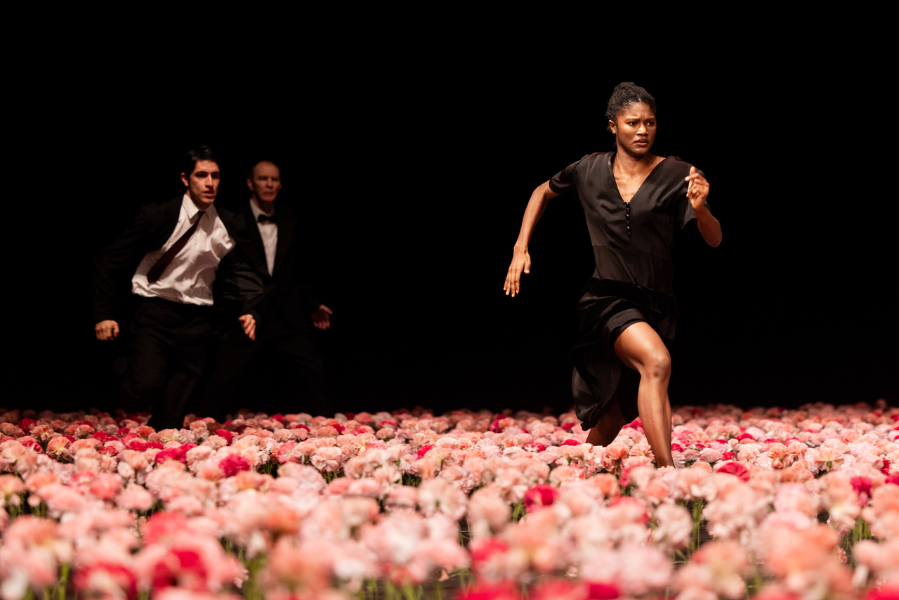 "Nelken (Carnations)" (Photo by Oliver Look)
