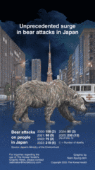 [Graphic News] Unprecedented surge in bear attacks in Japan