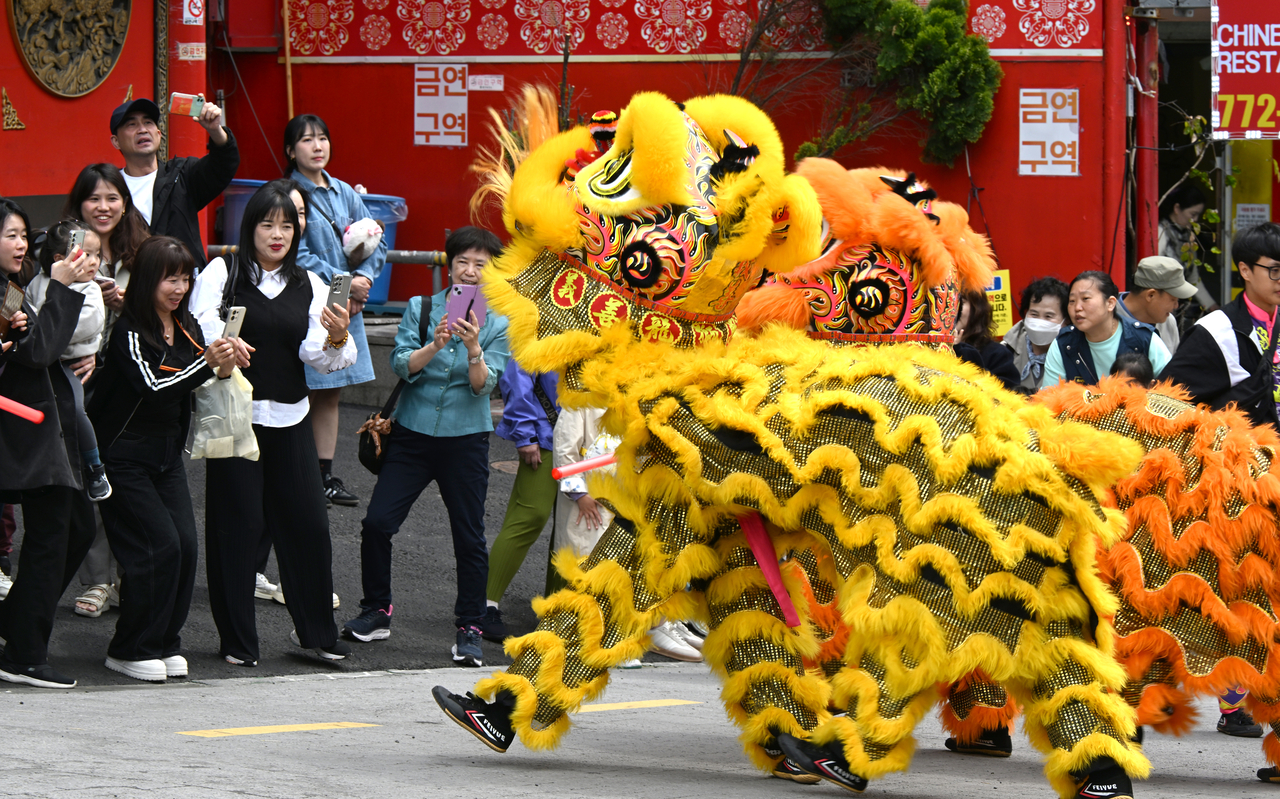 Visitors watch a lion dance performance in Incheon’s Chinatown. Chinese owned businesses make up the majority of foreign run stores in Korea, according to a new study. (Newsis)