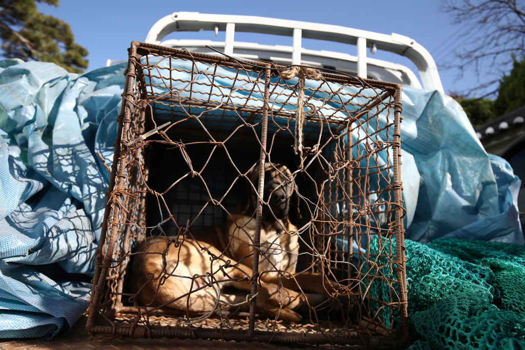 Иносми. Зарубежная пресса. Новости