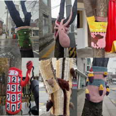 Wool for the trees: Knitted 'tree cosies' brighten up bare branches