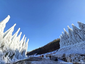 겨울이면 T맵 검색창에 '불난 호떡집' 되는 이곳 [함영훈의 멋·맛·쉼... - 뉴스 썸네일 이미지