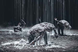 GS Arts Center to open 2026 season testing limits of art