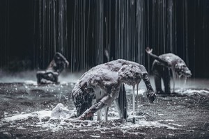 GS Arts Center to open 2026 season testing limits of art