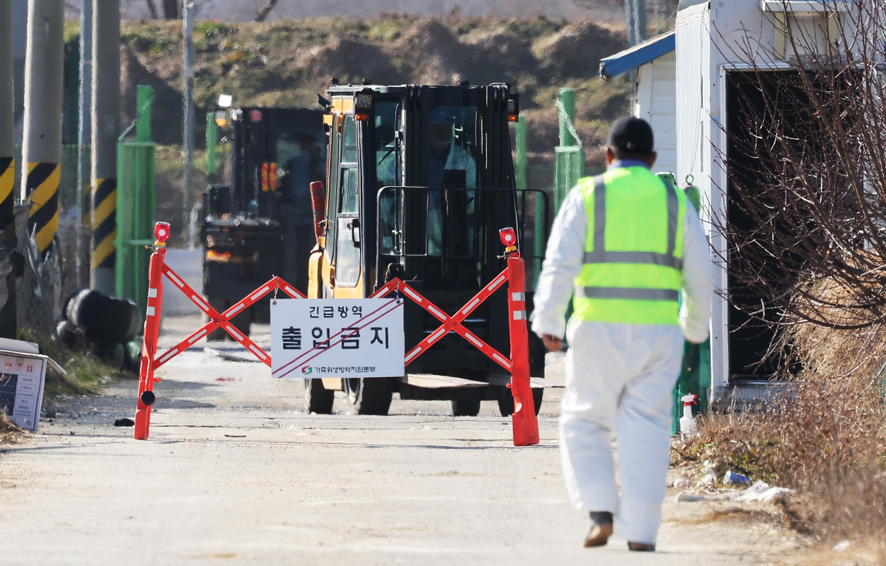 Vehicle access is restricted at a chicken farm in Pyeongtaek, Gyeonggi Province. (Yonhap)