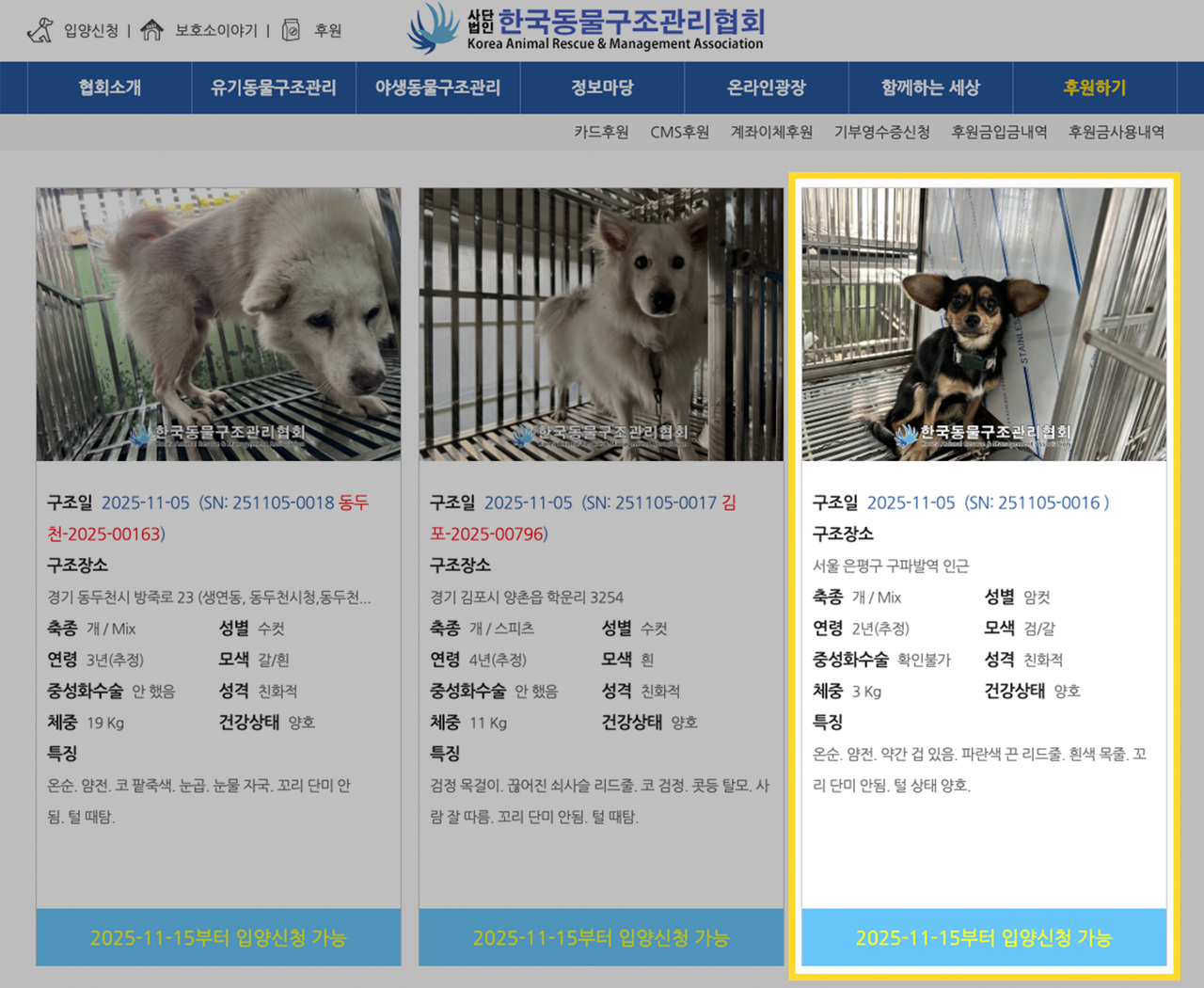 The Chihuahua (right) is one of many dogs, cats and other animals that are being sheltered at the Korea Animal Rescue & Management Association. According to the website, the Chihuahua will be available for adoption after Nov. 15.