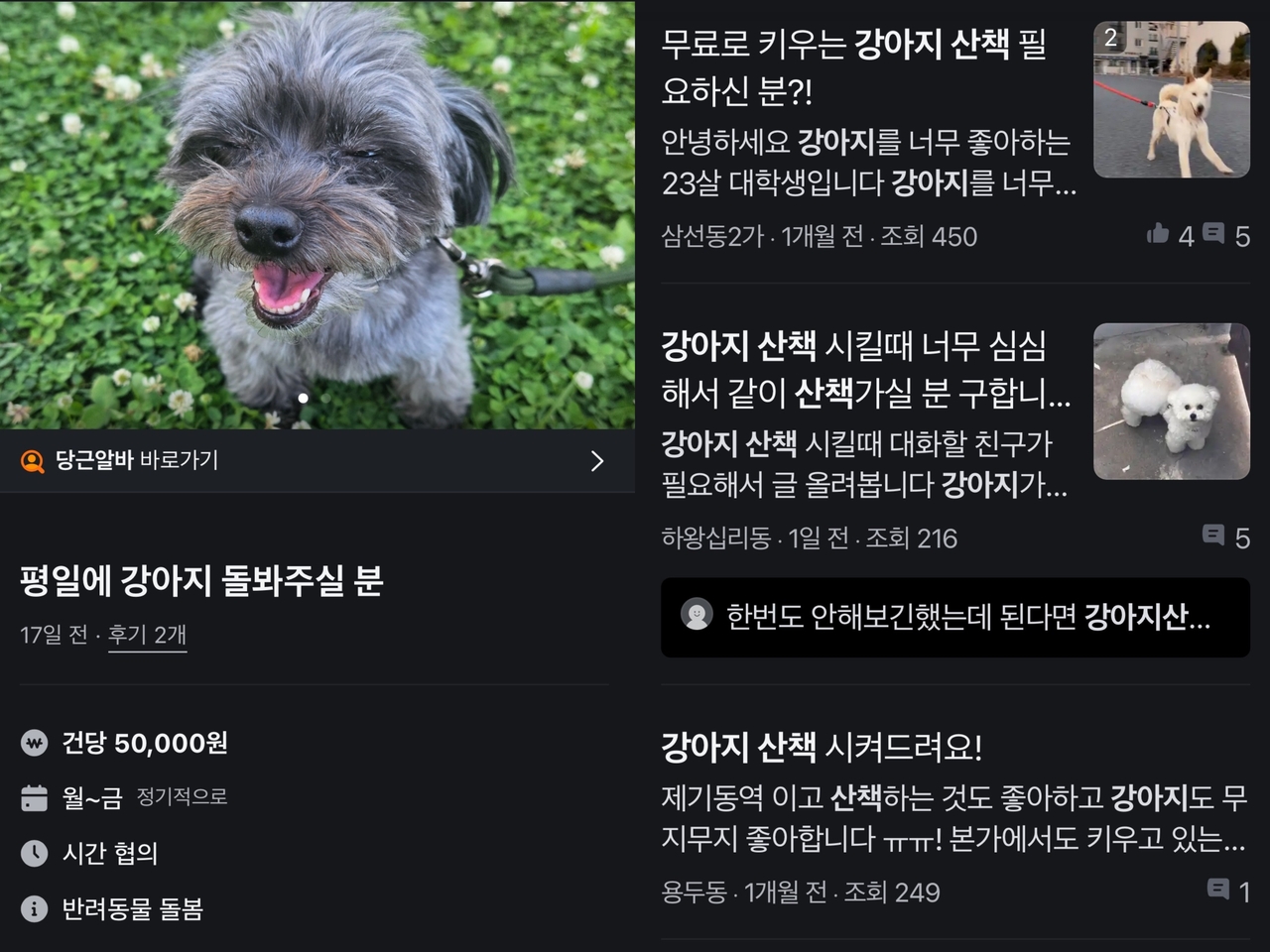 Posts looking to hire someone to take care of or walk users' dogs flood Karrot, a popular app more typically used for buying and selling secondhand items locally. (Screenshot from Karrot)