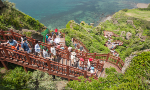 "동창들과 제주도 우르르, 1인당 3만원씩 도착하자마자 받았습니다" ... - 뉴스 썸네일 이미지