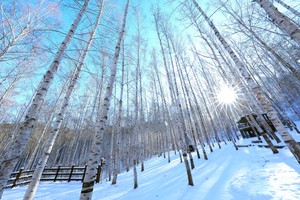 Blanket of snow