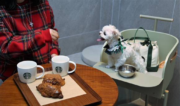 Starbucks' pet-friendly location, Guri Galmae drive-through store (Starbucks Korea)