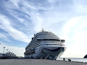 '움직이는 관광도시' 크루즈 대항해 여행의 꽉찬 감흥 - 뉴스 썸네일 이미지