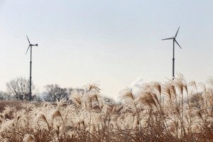 Haneul Park keeps its silver grass for winter
