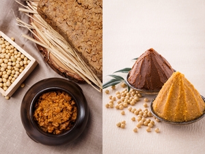 김치는 OK, 된장은 NO? 美 정부의 발효식품 PICK [식탐] - 뉴스 썸네일 이미지